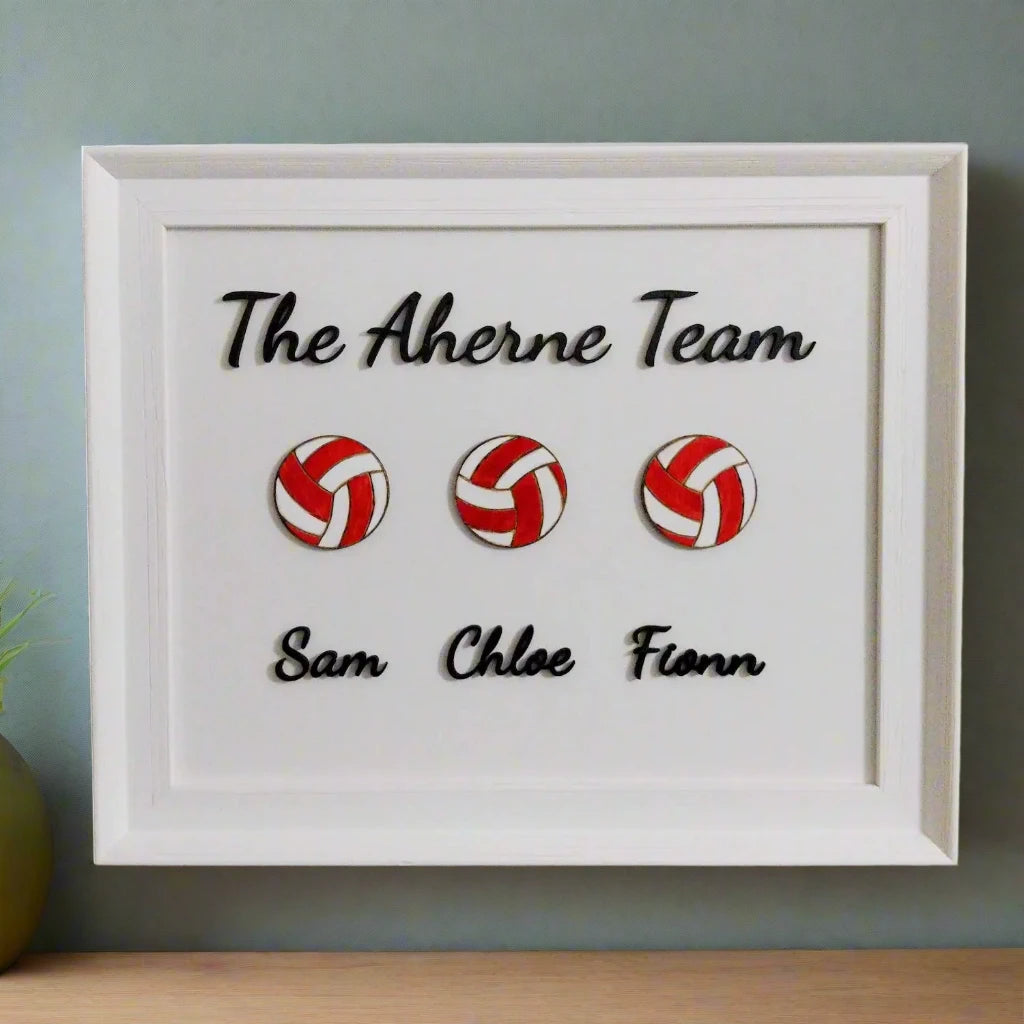 Gaelic football framed family gift
